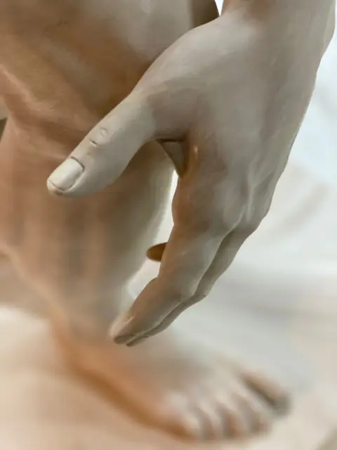 Кисть руки крупно