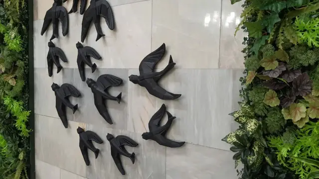 Ласточки крупно: разные положения крыльев